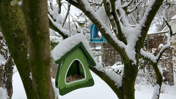 Vogelhäuschen mit Futter im Schnee. © Renate Seeck Foto: Renate Seeck