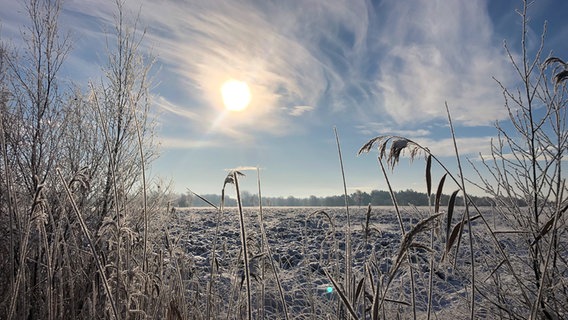 Schnee liegt auf einem Acker im Dosenmoor. © NDR Foto: Patricia Schanz