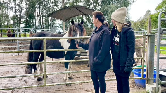 zwei Frauen blicken auf ein Pferd auf dem Schutzhof in Schlichting. © NDR Foto: Sophie Apelt