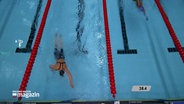 Para-Schwimmer nehmen an einem Wettkampf teil. © NDR 