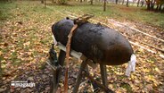 Eine alte Fliegerbombe liegt auf einem Bock. © NDR 