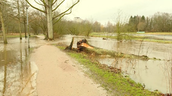 Der überschwemmte Kurpark in Bad Bramstedt. © Daniel Friederichs Foto: Daniel Friederichs