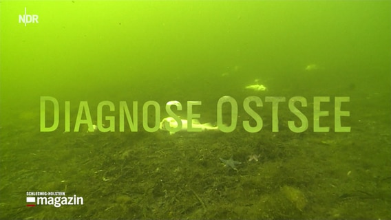 Der Meeresgrund mit dem Schriftzug Diagnose Ostsee © NDR 
