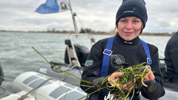 Eine Frau hält ein Büschel Seegras in die Kamera. © NDR Foto: Jörn Zahlmann