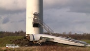 Ein zerstörtes Rotorblatt einer Windkraftanlage liegt am Boden © NDR 