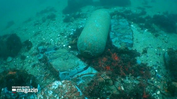 Eine alte Fliegerbombe liegt im Wasser der Ostsee © NDR Foto: NDR Screenshots