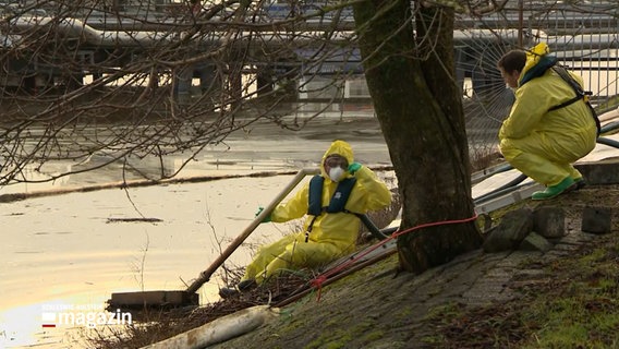 Personen in Schutzanzügen helfen bei der Bergung von Öl aus dem Nord-Ostsee-Kanal © NDR Foto: NDR Screenshot