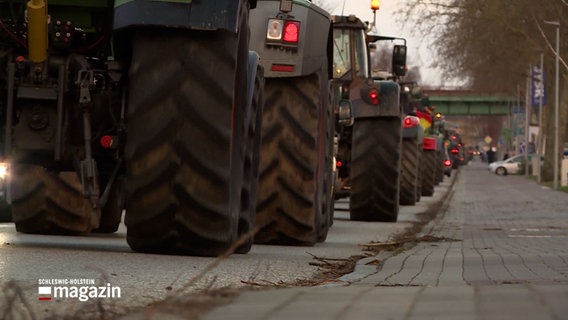 Mehrere Traktoren fahren auf einer Straße © NDR Foto: NDR Screenshot