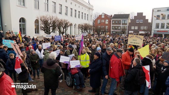 Mehrere Menschen auf einer Demonstration gegen rechts. © NDR Foto: NDR Screenshot