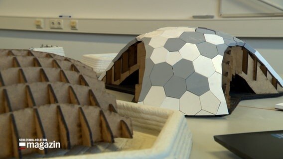 Das Modell einer Kuppel liegt auf einem Tisch, es ist aus mehreren hexagons gefertigt. © NDR Foto: NDR Screenshot