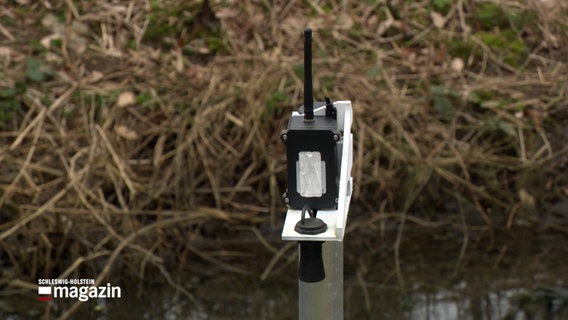Ein Sensor, an einer Stange befestigt, misst den Wasserstand in einem Teich © NDR Foto: NDR Screenshot
