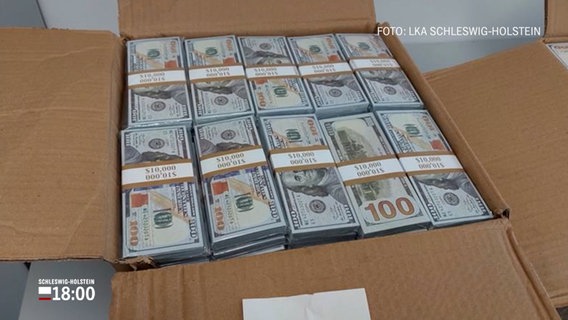 In einem Karton sind gefälschte, amerikanische Geldscheine aufgeschichtet © NDR Foto: NDR Screenshot