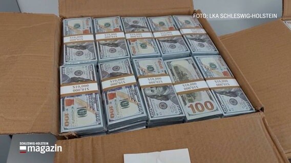 In einem Karton sind gefälschte, amerikanische Geldscheine aufgeschichtet © NDR Foto: NDR Screenshot