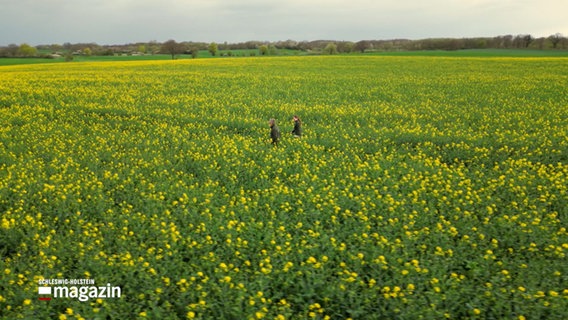 Zwei Personen gehen durch ein blühendes Rapsfeld © NDR Foto: NDR Screenshot