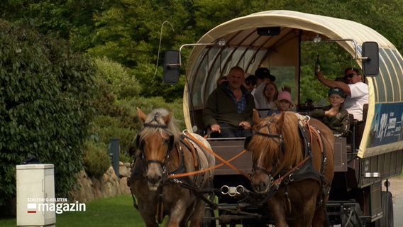 Eine Kutsche mit zwei Pferden fährt auf die Kamera zu © NDR Foto: NDR Screenshot