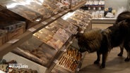 Ein Hund schnüffelt an einem Verkaufstresen für Hundeprodukte © NDR Foto: NDR Screenshot