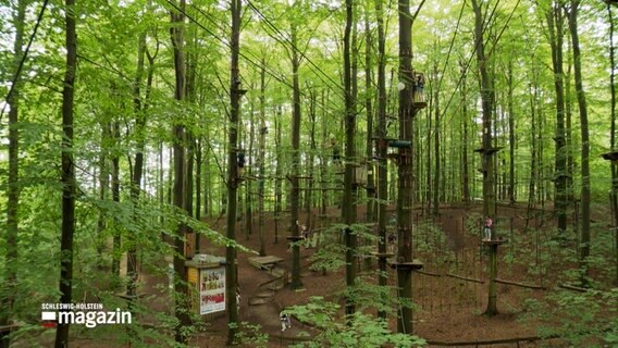 Ein Hochseilgarten © NDR Foto: NDR Screenshot