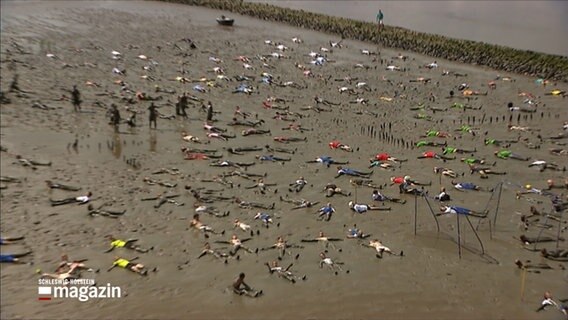 Mehrere Menschen liegen im Watt auf dem Rücken und machen einen "Wattengel" © NDR Foto: NDR Screenshot