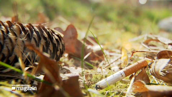 Eine Zigarette liegt auf einem trockenen Waldboden © NDR Foto: NDR Screenshot