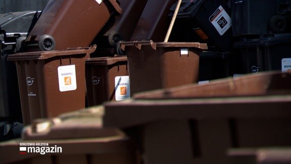 Einige braune Tonnen © NDR Foto: NDR Screenshot