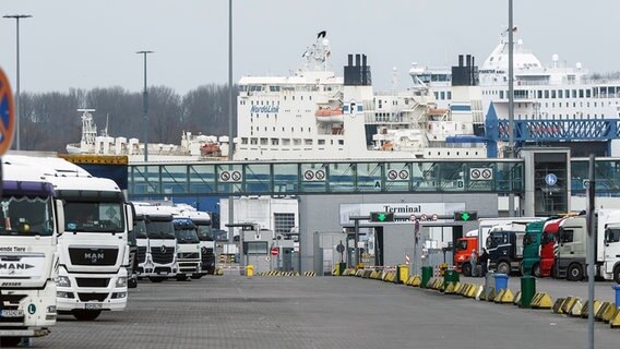 Zahlreiche LKW stehen in der Einfahrt zum Skandinavienkai der "Lübecker Hafengesellschaft" am 13.03.2017 in Lübeck-Travemünde. © picture alliance Foto: Markus Scholz