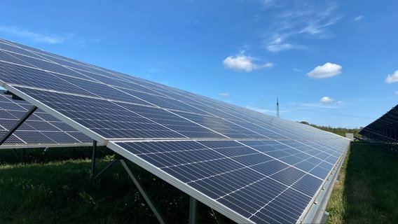 Ein Solarpark in Ehndorf. © NDR Foto: Joscha Krone