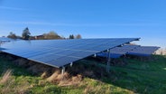 An der Autobahn 21 in Stolpe ist ein Solarpark zu sehen. © NDR Info Foto: Arne Schulz