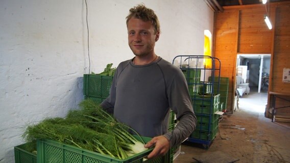 Gemüsebauer Dennis Wachholz zeigt im Depot das Gemüse, das er in einer Kiste für die Anteilseigner zusammenstellt. © NDR Foto: Astrid Wulf