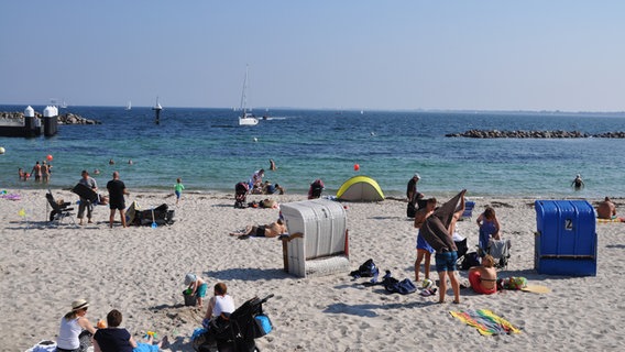 Viele Menschen liegen, baden und spielen am Strand in Schilksee, umgeben von Strandkörben. © NDR Foto: Petya Halvadzhieva