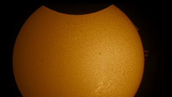Ein Foto der partiellen Sonnenfinsternis 2022 - aufgenommen mit einem H-Alpha Sonnenteleskop. © Justus Falk Foto: Justus Falk