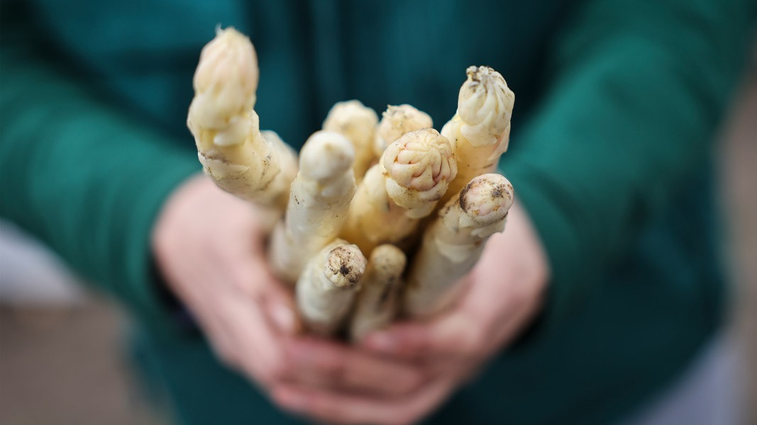 #Hyggepost: Wohin Dänen für Spargel und Störche reisen