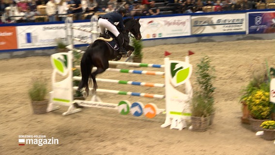 Mathies Rüder springt mit seinem Pferd über ein Hinderniss. © NDR 