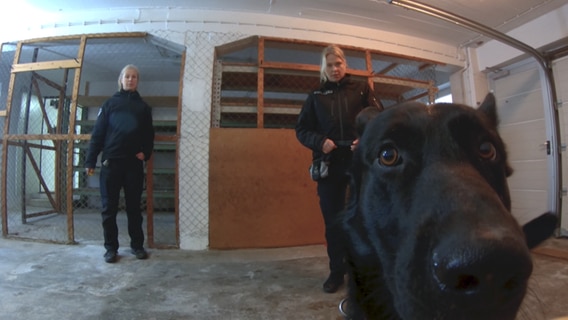 Zwei Polizistinnen stehen in einem Raum und beobachten einen schwarzen Hund bei der Suche nach etwas. © NDR 