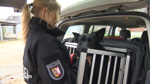 Ein schwarzer Hund wird von einer blonden Polizistin aus einem Käfig im Kofferraum eines Pkws befreit. © NDR 
