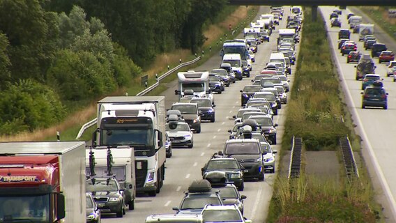 Autos stehen auf der A7 vor der dänischen Grenze im Stau © Daniel Friedrichs Foto: Daniel Friedrichs