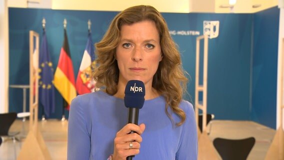Julia Stein steht mit einem Mikrofon in der Hand im Kieler Landeshaus. © NDR 