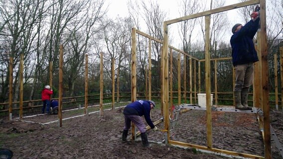 Vier Personen bauen ein Gerüst aus Holz auf einer Fläche auf Eiderstedt. © Landesverband Eulenschutz in Schleswig-Holstein e.V. Foto: Armin Jeß