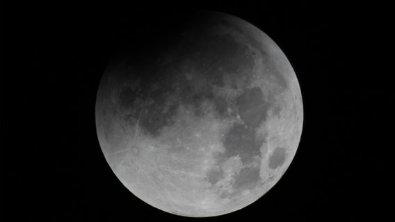 Der Mond. © vhs-Sternwarte Neumünster Foto: Marco A. Ludwig