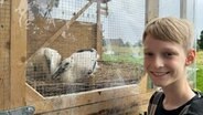 Der 13-jährige Mads Niklas Hamster aus Haseldorf steht neben dem Käfig, in dem er zwei junge Störche aufzieht. © NDR Foto: Pia Klaus