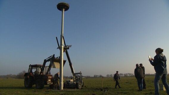 Ein Storchennest wird aufgebaut.  