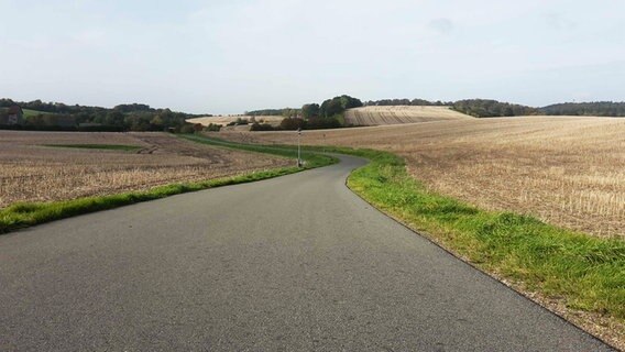Die Straße Nienthal in Lütjenburg zwischen Feldern. © NDR Foto: Christine Pilger