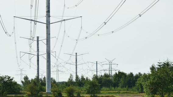 Dänische Beton-Strommasten und deutsche Gittermasten nahe der A7 an der Grenze in Ellund. © NDR Foto: Peer-Axel Kroeske