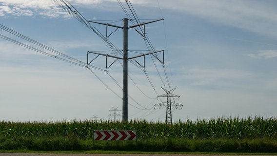 Ein dänischer Beton-Strommaste und deutsche Gittermasten nahe der A7 an der Grenze in Ellund. © NDR Foto: Peer-Axel Kroeske