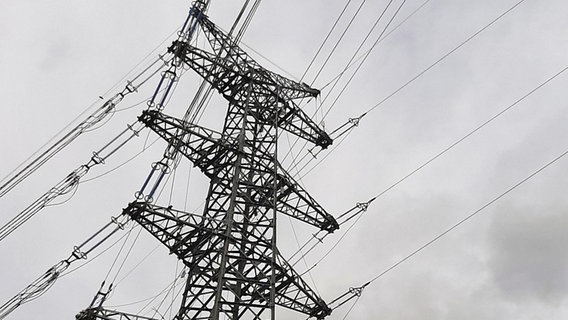 Strommast einer neuen 380 kV-Ueberlandleitung © picture alliance / blickwinkel/M. Henning | M. Henning Foto: M. Henning