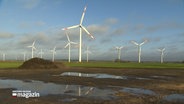 Windkrafträder stehen auf einer grünen Wiese. © NDR 