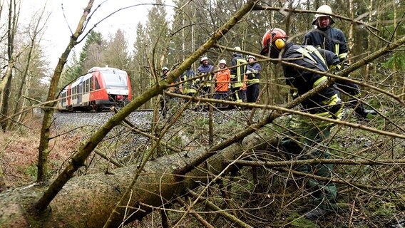 Freiwillige Feuerwehrmänner entfernen am 31.03.2015 in Aukrug (Schleswig-Holstein) einen Baum auf den Gleisen der Bahnstrecke Neumünster-Heide. © dpa-Bildfunk Foto: Carsten Rehder