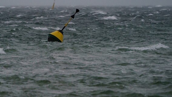 Bojen treiben in dem vom Wind aufgepeitschten Wasser vor der Küste der Ostsee. © picture alliance/dpa | Axel Heimken Foto: Axel Heimken