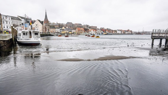An der Spitze des Flensburger Hafens sitzen Möwen auf dem Trockenen und auch erste Schiffe liegen auf Grund. Der Sturm hat das Wasser rausgedrückt. © Benjamin Nolte Foto: Benjamin Nolte