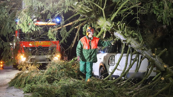 Elmshorn: Rettungskräfte der Feuerwehr entfernen einen Baum der auf einen Kleinwagen gestürzt ist. © Florian Sprenger 