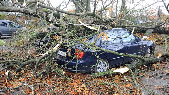 Zwei von einem umgestürzten Baum beschädigte Autos © Karsten Sörensen Foto: Karsten Sörensen